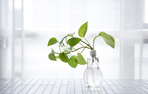 小妲己直播下载
专家教你如何做情绪的主人