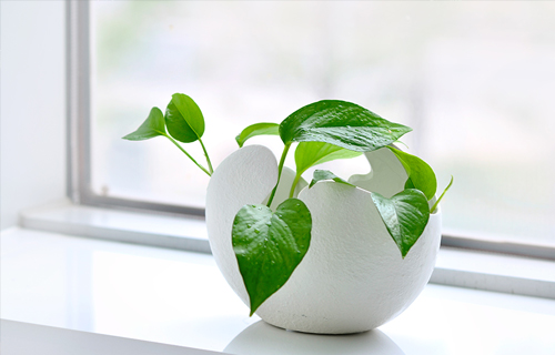 反复就医真是“病”没好吗？也可能是得了这种心理疾病