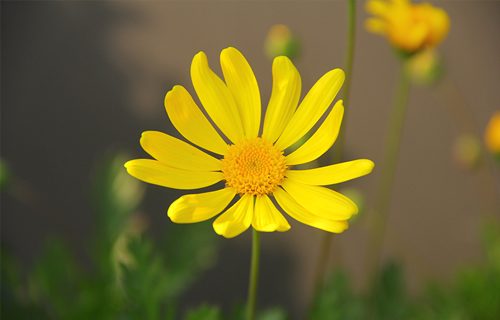 感受当下，拥抱生活