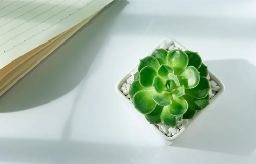 后疫情时代，请警惕“替代性创伤”