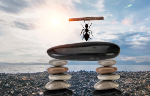 “担心父母，也忧虑自己”的中年人，为何被“养老焦虑”所困？